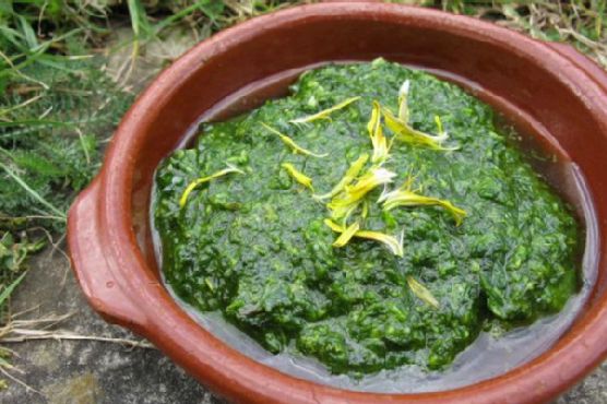 Zesty Dandelion & Herb Pesto with Roasted Walnut Oil recipe by Meaghan Moineau
